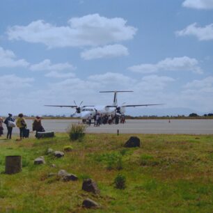 Letadla Ethiopian Airlines přepravují po celé Etiopii. Nejbližší letiště v Bale Mountains je ve městě Robe