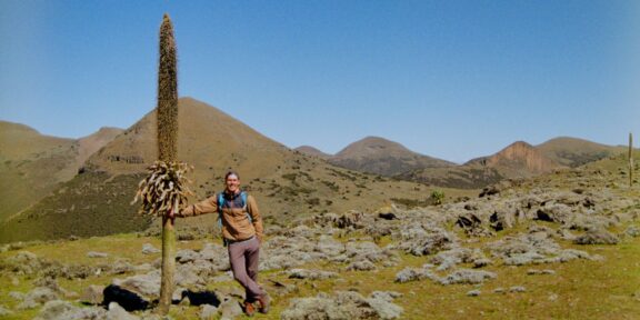 Mezi vlky a vrcholy: výprava do jedinečné přírody Bale Mountains 