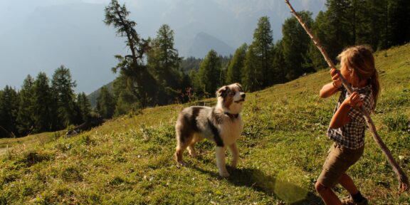 Švýcarsko s dětmi. Trek po loukách a chatách nad údolím Nendaz