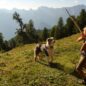 Švýcarsko s dětmi. Trek po loukách a chatách nad údolím Nendaz