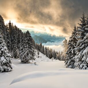 Zimní pohled v Rigi. Foto: Switzerland