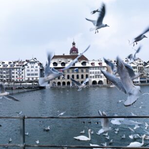 Zimní Lucern. Foto: Switzerland