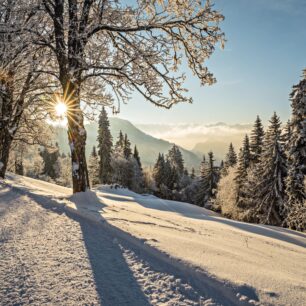 Zimní turistika v Rigi. Foto: Switzerland