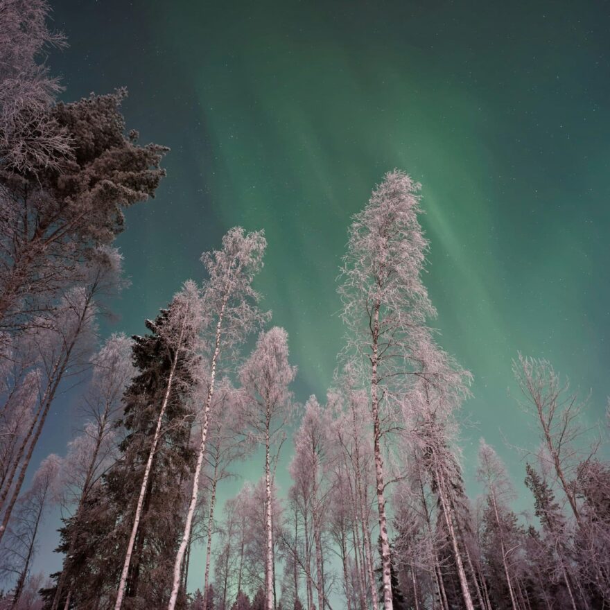 Zažijte pravou arktickou zimu v Laponsku. Foto: Unsplash