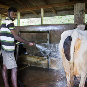 Farma na Srí Lance. Foto: Matouš Vinš