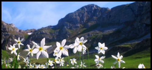 Kvetoucím Balkánem aneb jarní toulky Černou Horou, Bosnou a Hercegovinou