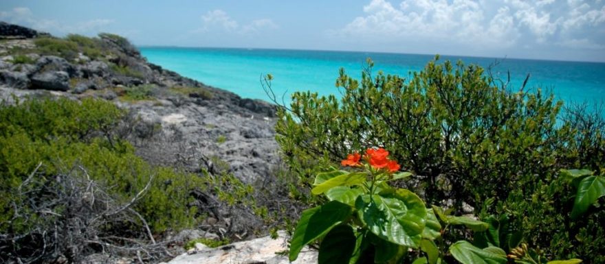 Playa Del Carmen – neobyčejné místo na Mayské riviéře 