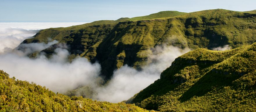 Madeira: Jak nejlépe odkrýt všechny klenoty věčně hledaného ostrova pokladů?