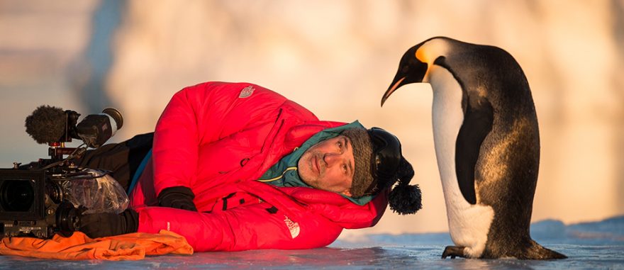 Volání oceánu, volné pokračování legendárního Putování tučňáků