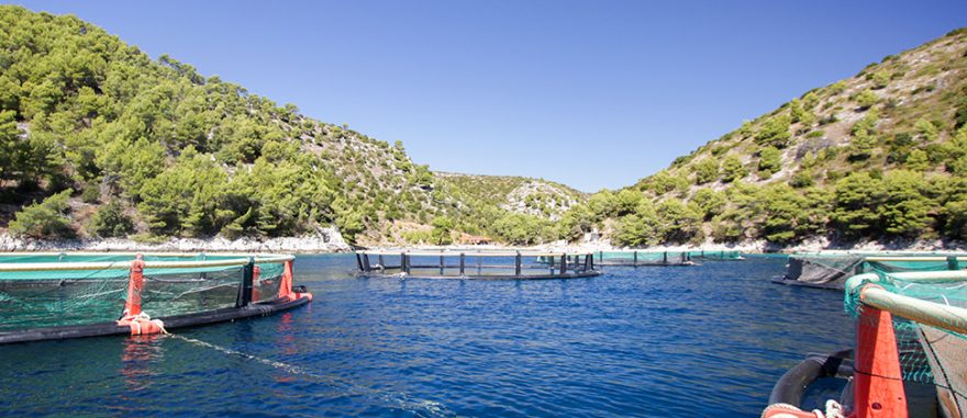 Chorvatsko bez turistů najdete v poklidných zátokách hvarských