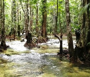 Vydejte se do džungle nedaleko thajského Krabi a objevte Horký pramen nebo Smaragdové jezírko
