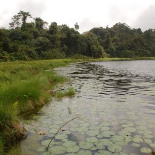 Lake Edib - poetické kráterové jezero, Kamerun