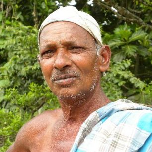 Srí Lanka, úmorná práce na horských čajových plantážích