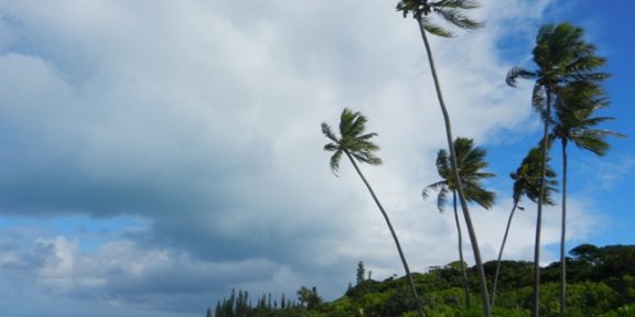 Laguny Nové Kaledonie (Lagoons of New Caledonia: Reef Diversity and Associated Ecosystems)