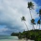 Laguny Nové Kaledonie (Lagoons of New Caledonia: Reef Diversity and Associated Ecosystems)