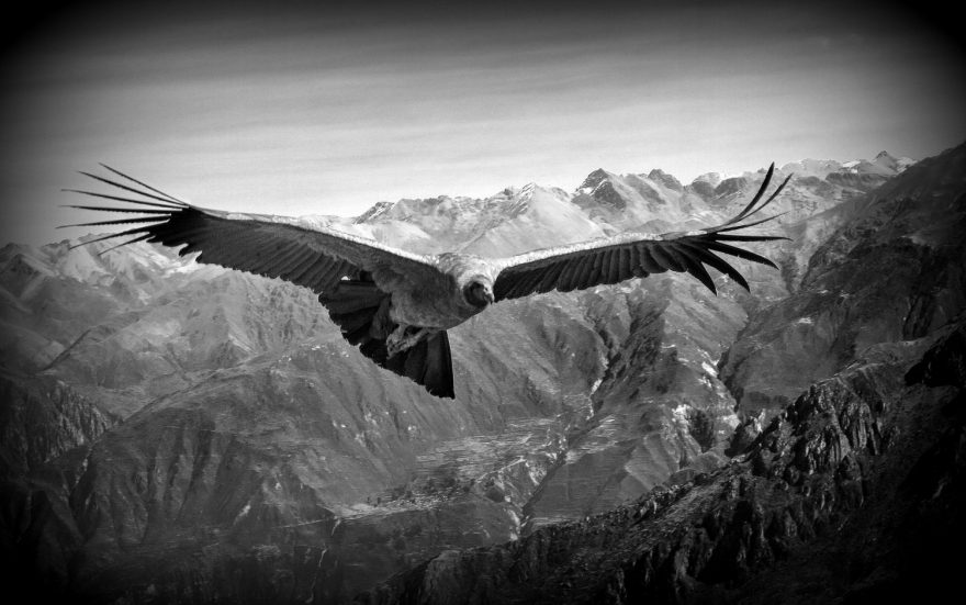 Majestátnost, Colca Canyon