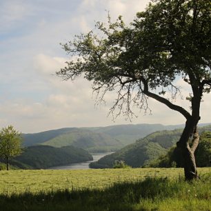 NP Eifel, Obersee, Německo