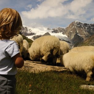 Černo nosé ovce jsou pro děti zábavou, Zermatt