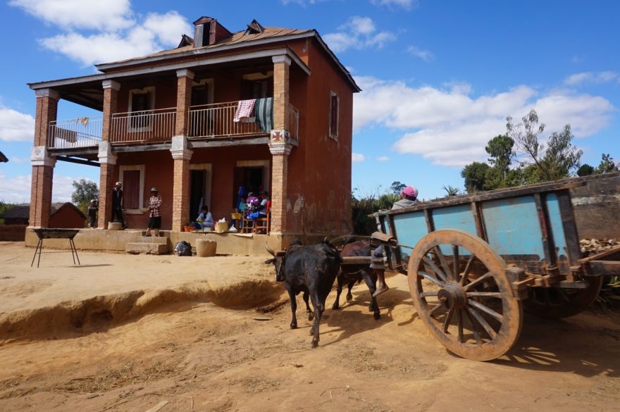 Ke slavnému filmu má realita skutečně daleko, Madagaskar