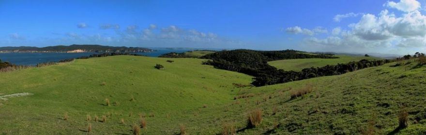 Tawharanui park