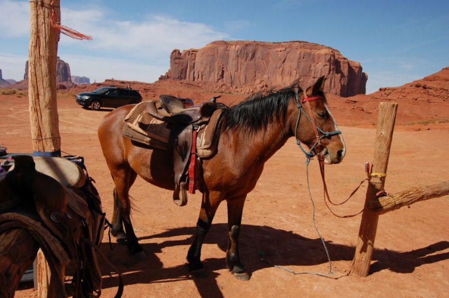 U koní v Monument Valley