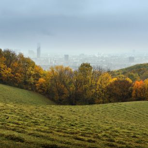 Vídeňský les (Shutterstock.com)