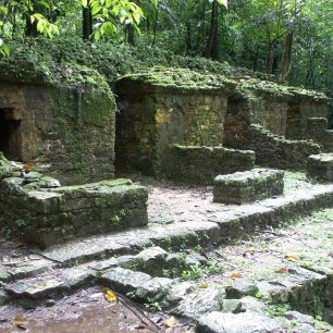 Ruiny Palenque se nalézají v pralese a mnohdy je těžké rozeznat, co je jen obyčejný kopec a co je stavba ukrytá pod hromadou hlíny, Mexiko