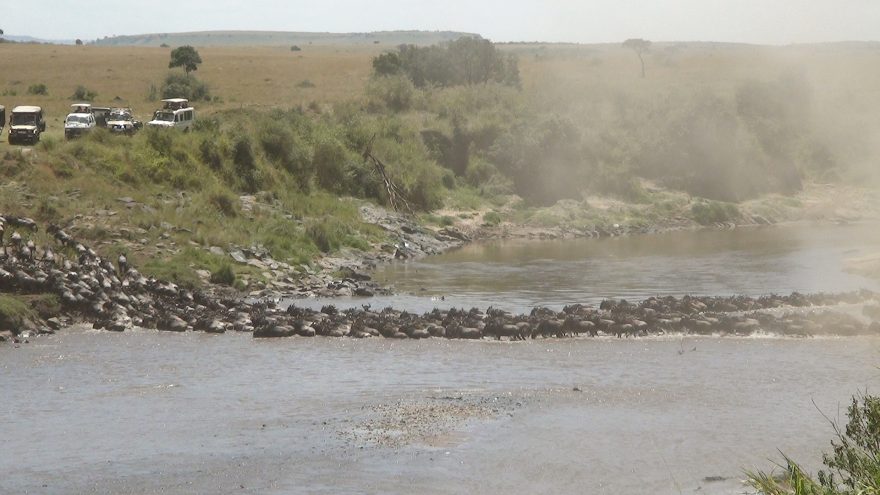 Přesuny zvířat při velké migraci