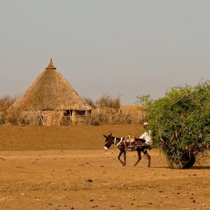 V Sudánu arabská Afrika přechází do té černé. I stavení mění svou architekturu