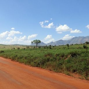 Tipash na cestě v Tsavo West, Keňa