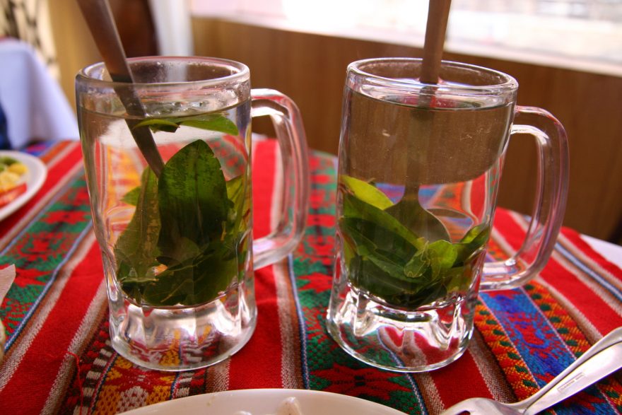 Typický kokový čaj, La Paz, Bolívie
