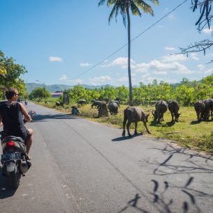 Silnice patří všem, Lombok, Indonésie, foto: Johan Orlitz