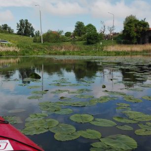 Velmi rychle se dostane také do přírody, Gdaňsk, Polsko