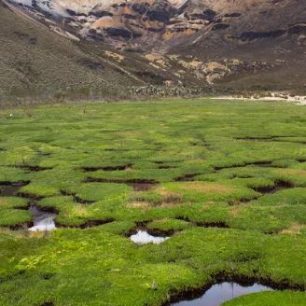 Mokřad po vrcholem Paramillo del Quindío, 4750 m.n.n., Kolumbie