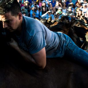 Loitadores vyskočí na koně a jízdou ho unaví, Sabucedo, Španělsko