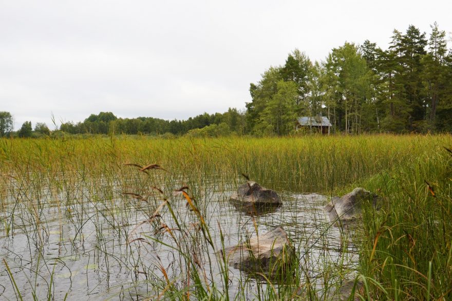 Typická švédská příroda, NP Färnebofjärden, Švédsko