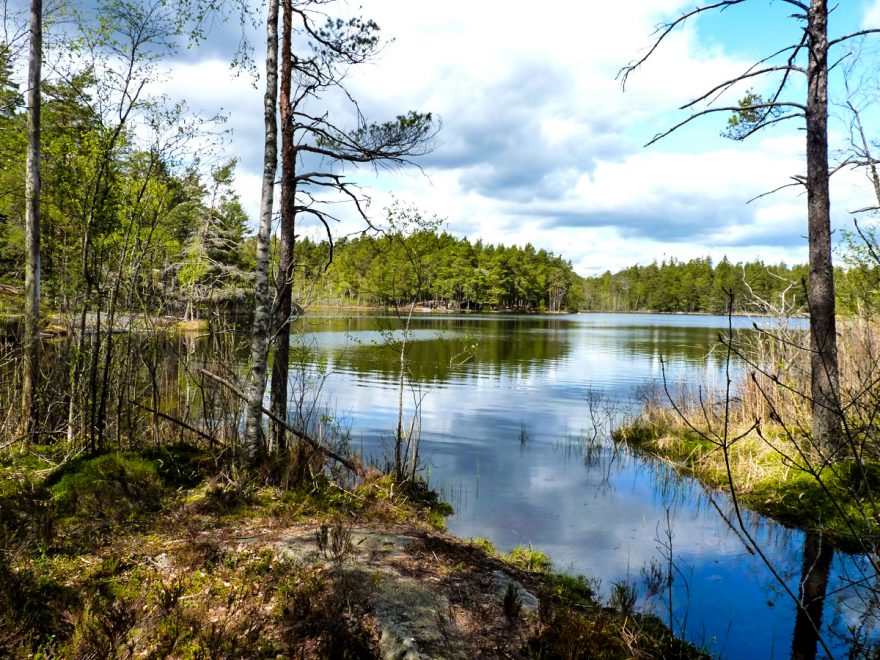 V parku je překrásná příroda a přitom není daleko od Stockholmu, NP Tyresta, Švédsko