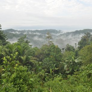 Pára stoupající z pralesa, Papua Nová Guinea