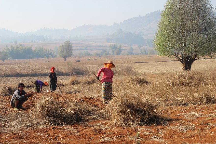 Inle lake trek, Myanmar