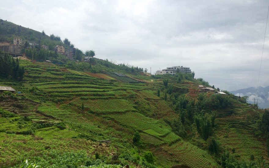 Typická rýžová pole, Sapa, Vietnam