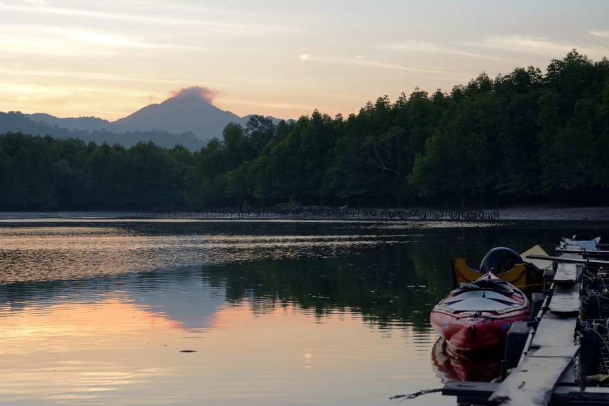 Časné ráno v mangrove, Thajsko