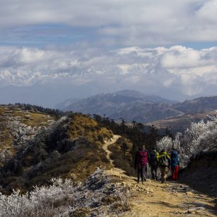 Trek NP Singalia, Indie