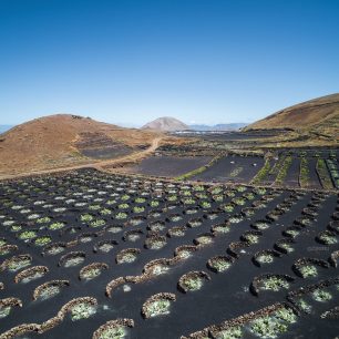 Vinic, Lanzarote, Kanárské ostrovy