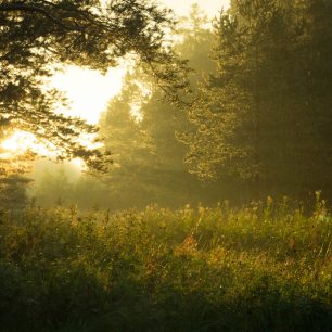 Park při západu Slunce, park Olenji ruči, Rusko 