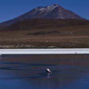 Altiplano, Bolívie