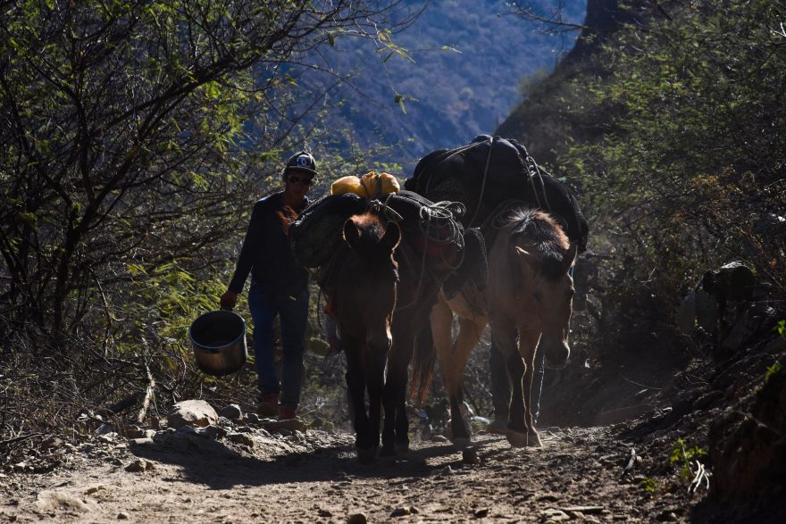 Cestou na Choquequirao, Peru 