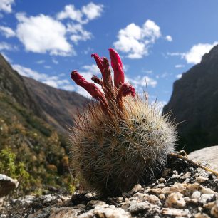 Cordillera Blanca, Peru