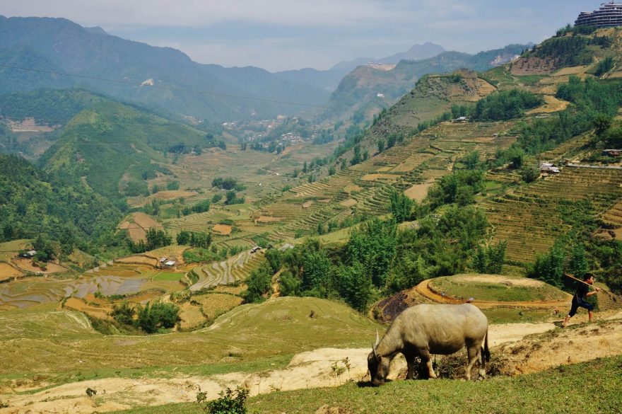 Pohled na rýžová políčka nedaleko Sapa. I tady najdete zajímavé jeskyně, Vietnam