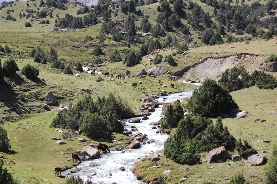 Kyrgyzská zelená údolí