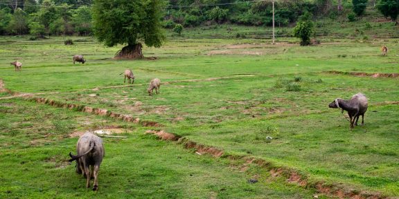 Vientiane &#8211; největší vesnice na světě